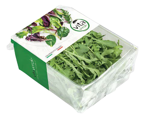 Lettuce RUCOLA, 100 g