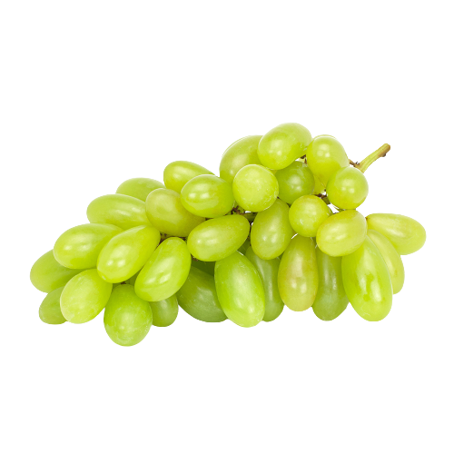 Vynuogės, žaliosios, THOMPSON, II kl.